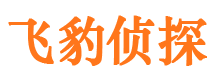 定州市婚姻出轨调查